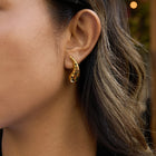 Wild Nelly Studs