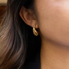 Wild Nelly Studs