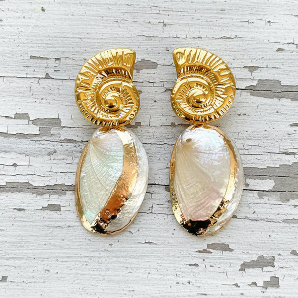 Nature Shell Drop