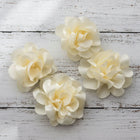 Roxa Floral