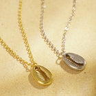 Askari Cowrie