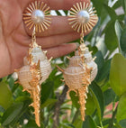 Conch Shell