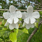 Blooming Petal Studs
