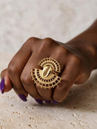 Hollow Fan Cowrie