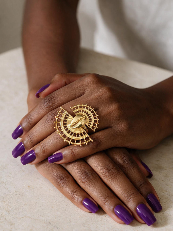 Hollow Fan Cowrie
