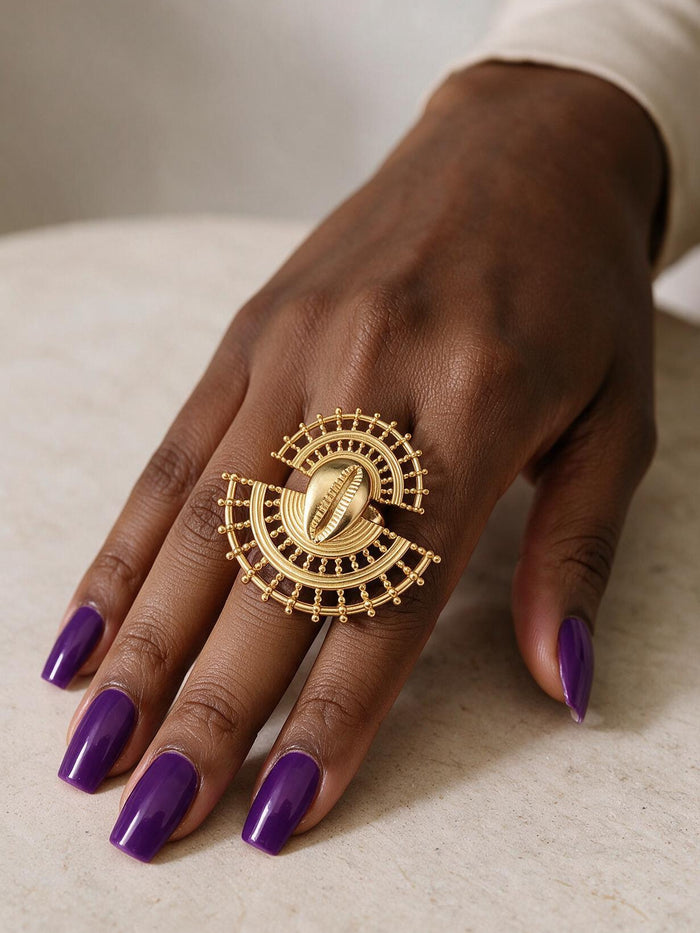 Hollow Fan Cowrie
