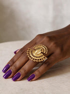 Hollow Fan Cowrie
