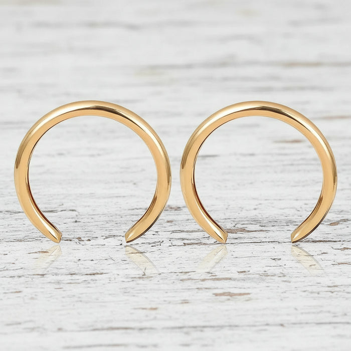 Horseshoe Statement Studs