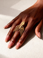 Comb Cowrie