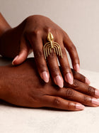 Comb Cowrie