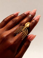 Comb Cowrie