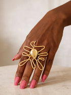 Wavy Cowrie Africa