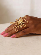 Wavy Cowrie Africa