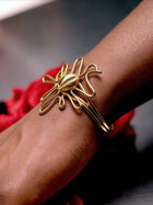 Wavy Cowrie Africa