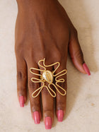 Wavy Cowrie Africa
