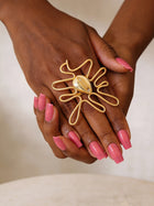 Wavy Cowrie Africa