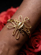 Wavy Cowrie Africa