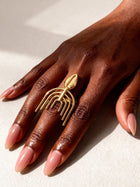 Comb Cowrie