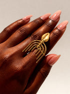 Comb Cowrie