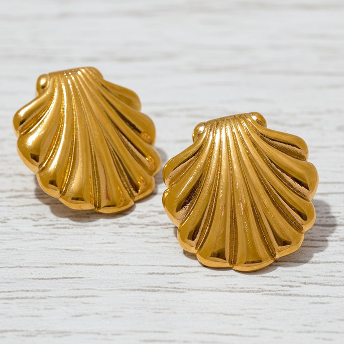 Shell Story Set